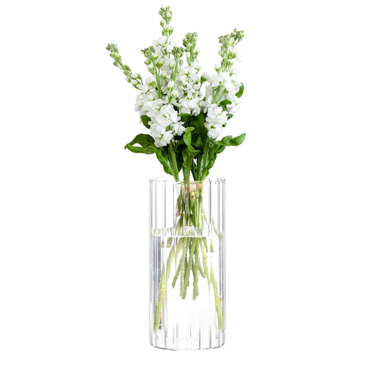 Clear Glass Flower Vase 10 Inch – Modern Home Decor Centerpiece